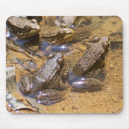 カエルのパッド マウスパッド (正面)