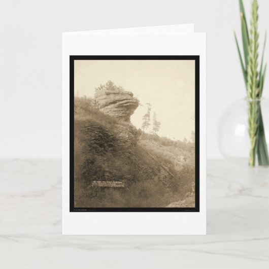 カエルのヘッド石の枯れ木のステージの道SD 1890年 カード (正面)