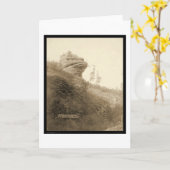 カエルのヘッド石の枯れ木のステージの道SD 1890年 カード (黄色い花)