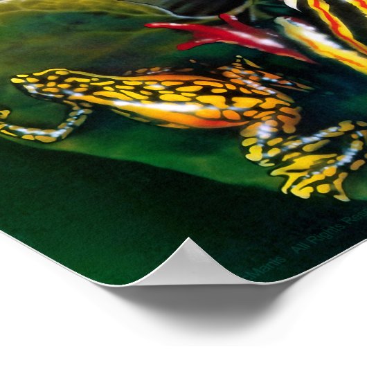 カエルのポスター ポスター (角)