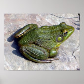 カエルのポスター ポスター (正面)