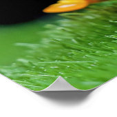 カエルのポスター ポスター (角)