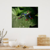 カエルのポスター ポスター (キッチン)