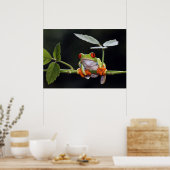 カエルのポスター ポスター (キッチン)