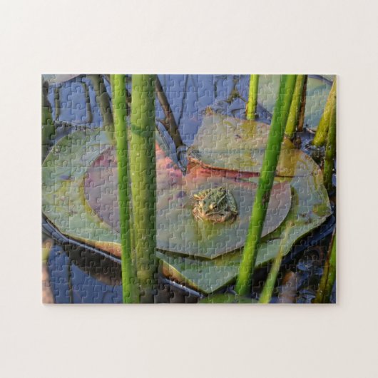 カエルのポートレート ジグソーパズル (横)