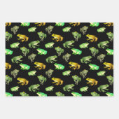 カエルのラッピング紙セット ラッピングペーパーシート (正面2)