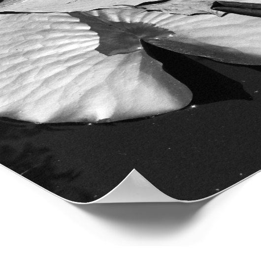 カエルの世界 ポスター (角)