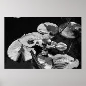 カエルの世界 ポスター (正面)