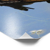 カエルの丸太 フォトプリント            (角)