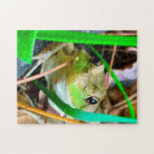 カエルの写真ミネソタ。 ジグソーパズル (横)