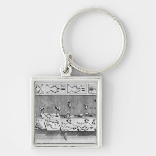 カエルの実験 キーホルダー (正面)