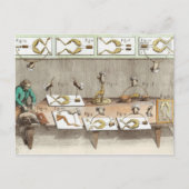 カエルの実験 ポストカード (正面)