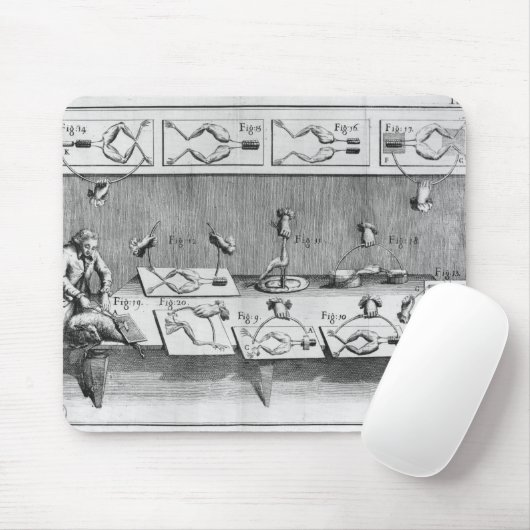 カエルの実験 マウスパッド (マウス)