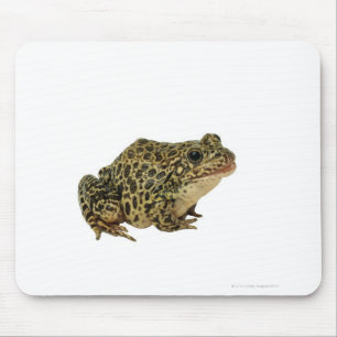 カエルの影 マウスパッド