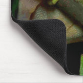 カエルの恋人のmousepad マウスパッド (コーナー)