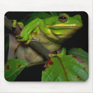 カエルの恋人のmousepad マウスパッド