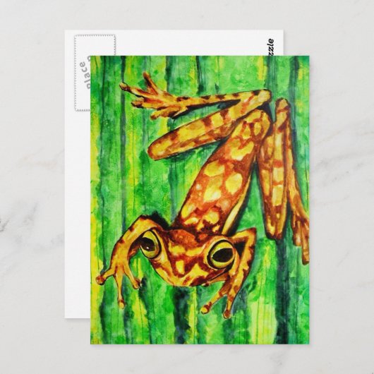 カエルの木のはがきをゴルディ ポストカード (正面/裏面)