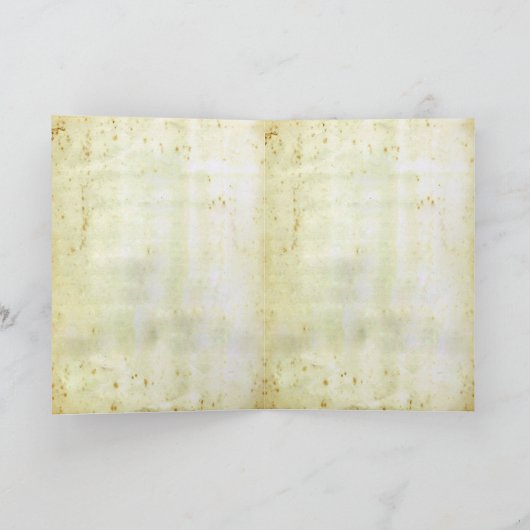 カエルの皮 カード (内部)