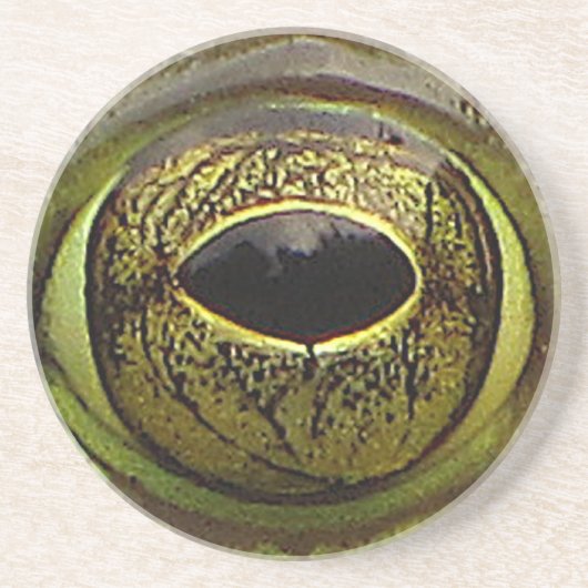 カエルの目 コースター (正面)