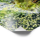 カエルの目 フォトプリント            (角)