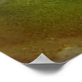 カエルの目 ポスター (角)