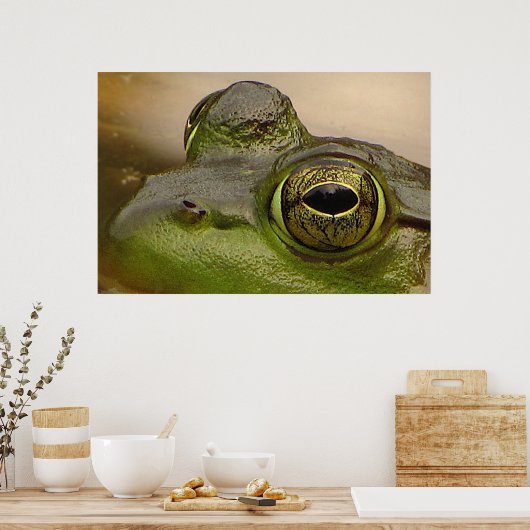 カエルの目 ポスター (キッチン)