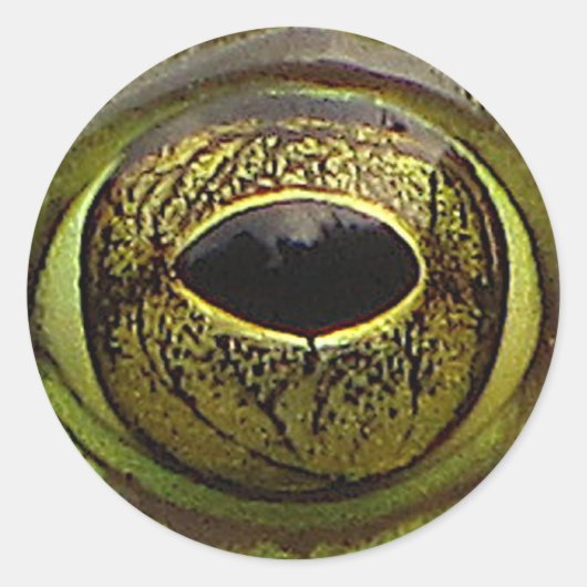 カエルの目 ラウンドシール (正面)