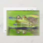 カエルの緑のはがき ポストカード (正面/裏面)