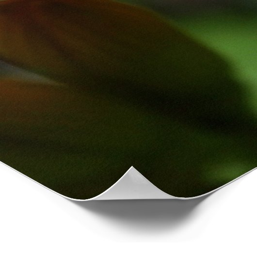 カエルの花 ポスター (角)