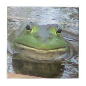 カエルの装飾的なタイル タイル (正面)