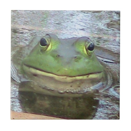 カエルの装飾的なタイル タイル (正面)