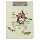 カエルの解剖パーソナライズされた学 クリップボード (正面)