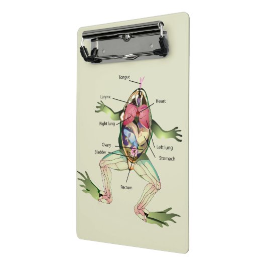 カエルの解剖パーソナライズされた学 ミニクリップボード (アングル2)