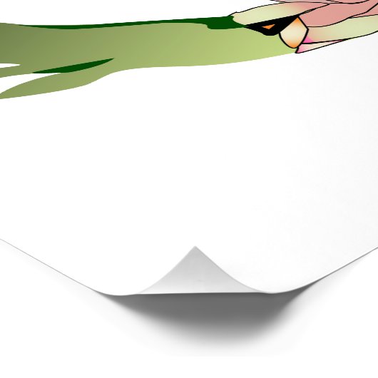 カエルの解剖図 ポスター (コーナー)