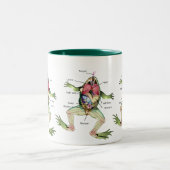 カエルの解剖学のイラストレーション ツートーンマグカップ (中央)