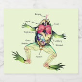 カエルの解剖学の緑 ビールラベル (シングルラベル)