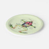 カエルの解剖学の緑 ペーパープレート (アングル)