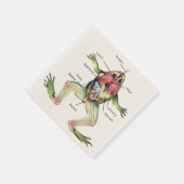 カエルの解剖学イラストレーション スタンダードカクテルナプキン (角)
