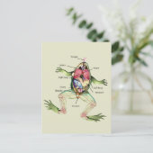 『カエルの解剖学』 ポストカード (スタンド正面)