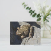 カエルはがき ポストカード (スタンド正面)