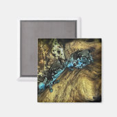 カエルぶら下がったのアウト磁石 マグネット (正面/裏面)