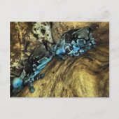 カエルぶら下がった2枚のはがき ポストカード (正面)