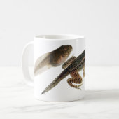 カエルへのオタマジャクシ: 開発の3つのステージ コーヒーマグカップ (正面左)