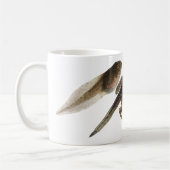 カエルへのオタマジャクシ: 開発の3つのステージ コーヒーマグカップ (左)