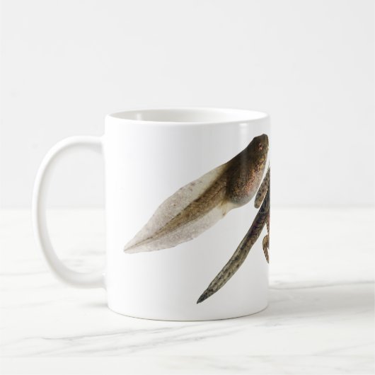 カエルへのオタマジャクシ: 開発の3つのステージ コーヒーマグカップ (左)