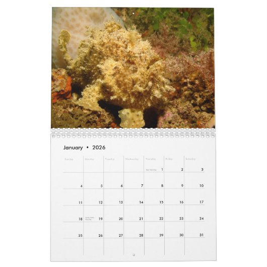 カエルアンコウ2012のカレンダー カレンダー (1月 2026)