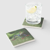 カエルカラフル ストーンコースター (横)