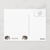 カエルキスをする ポストカード (裏面)