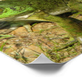 カエルデザインポスタープリント ポスター (角)