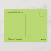 カエルパーソナライズされた山 ポストカード (裏面)